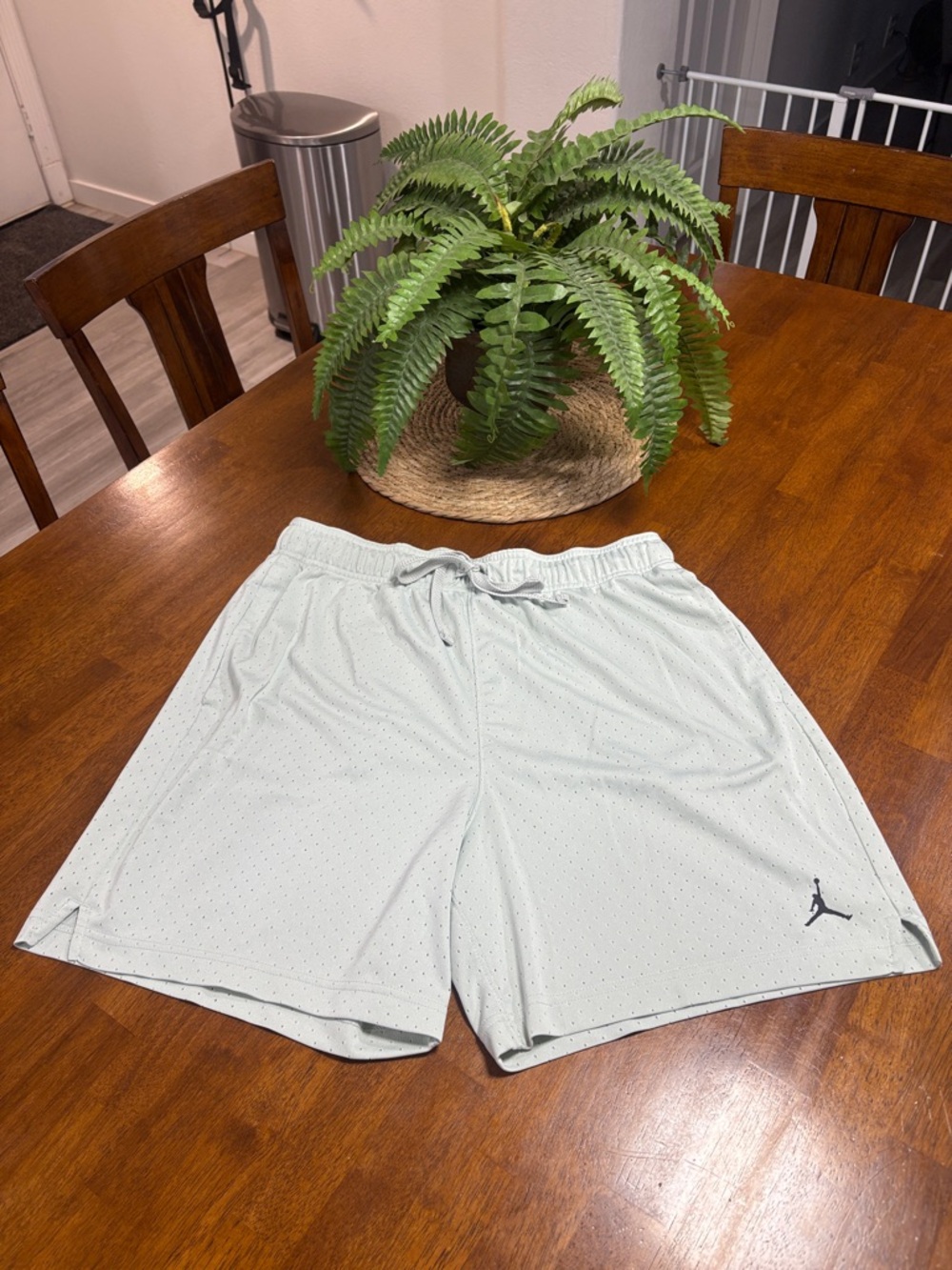 Jordan Men’s Light Mint Athletic Basketball Shorts